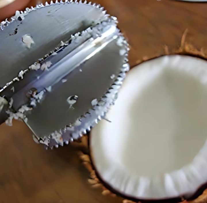 Stainless Steel Coconut Scraper for Kitchen, Manual Coconut Grater Tool with Compact Design for Smooth, Efficient Coconut Scraping, Easy Cleaning